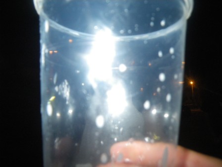 IMGP0229.JPG