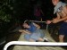 DSC00233.JPG