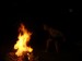 DSC00251.JPG