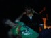 DSC00736.JPG