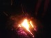 DSC00795.JPG